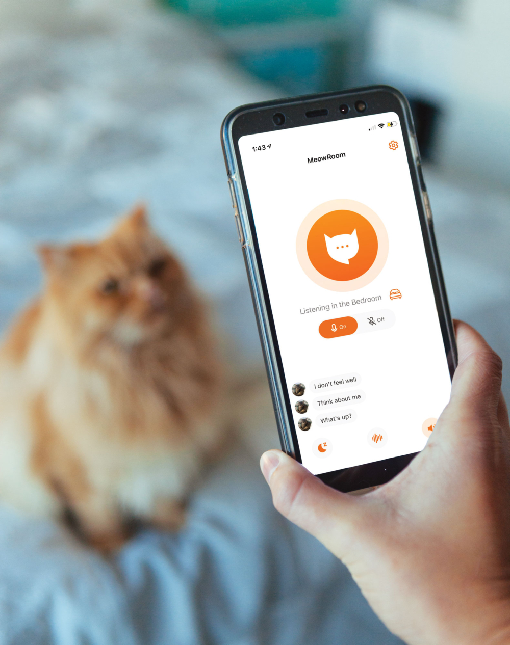 究竟AI真的能準確的讀出毛孩的心聲嗎？