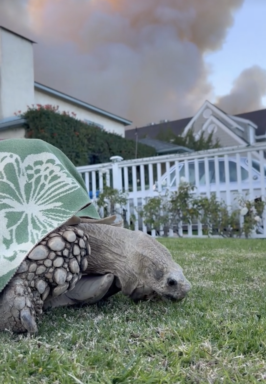 當時的火勢非常大。