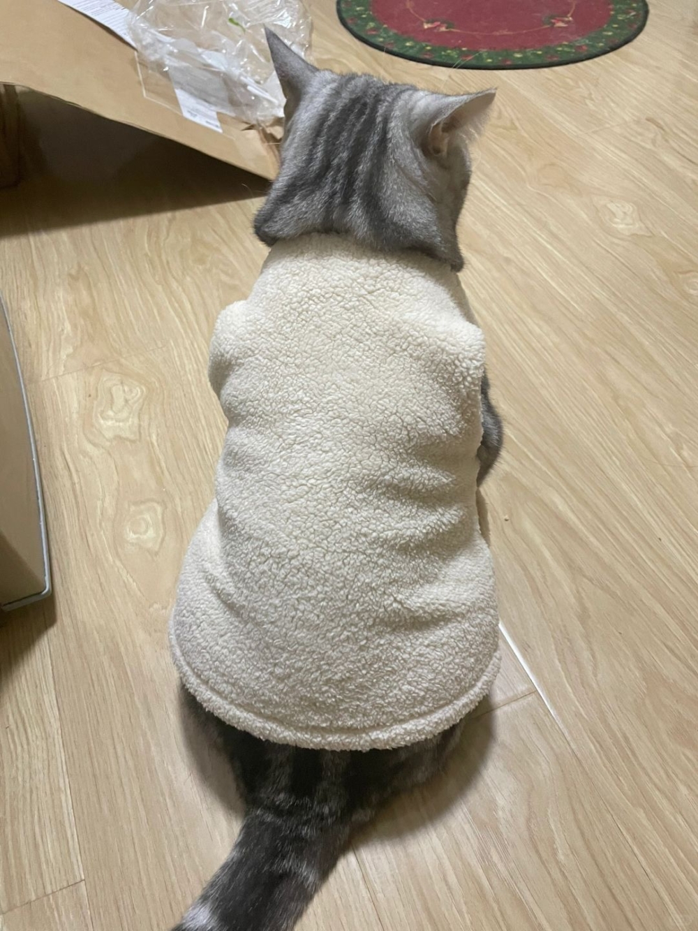 超過4公斤的貓咪也能穿。