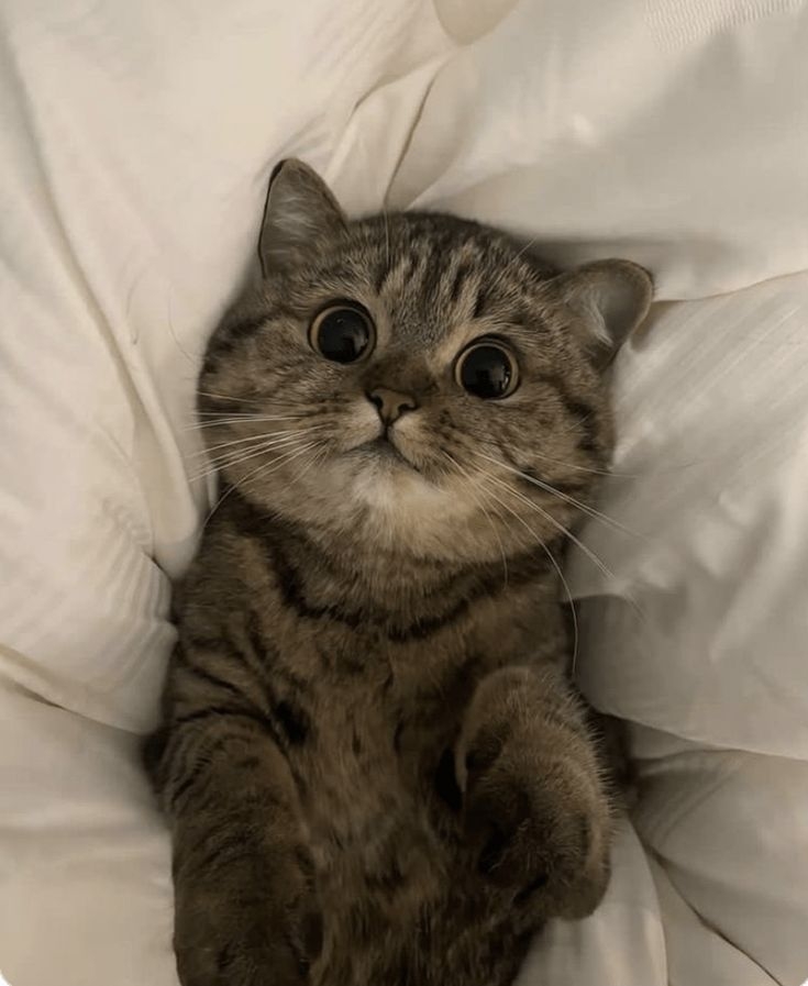 真相竟然是這樣！