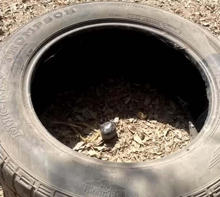 在輪胎裡的土製炸彈。