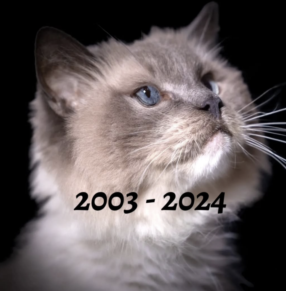 甘尼在2024年永遠離開了。