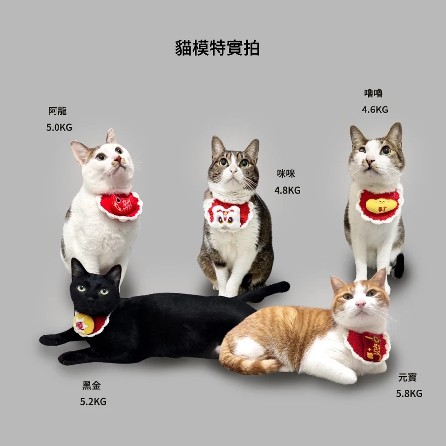 每款都好好看。