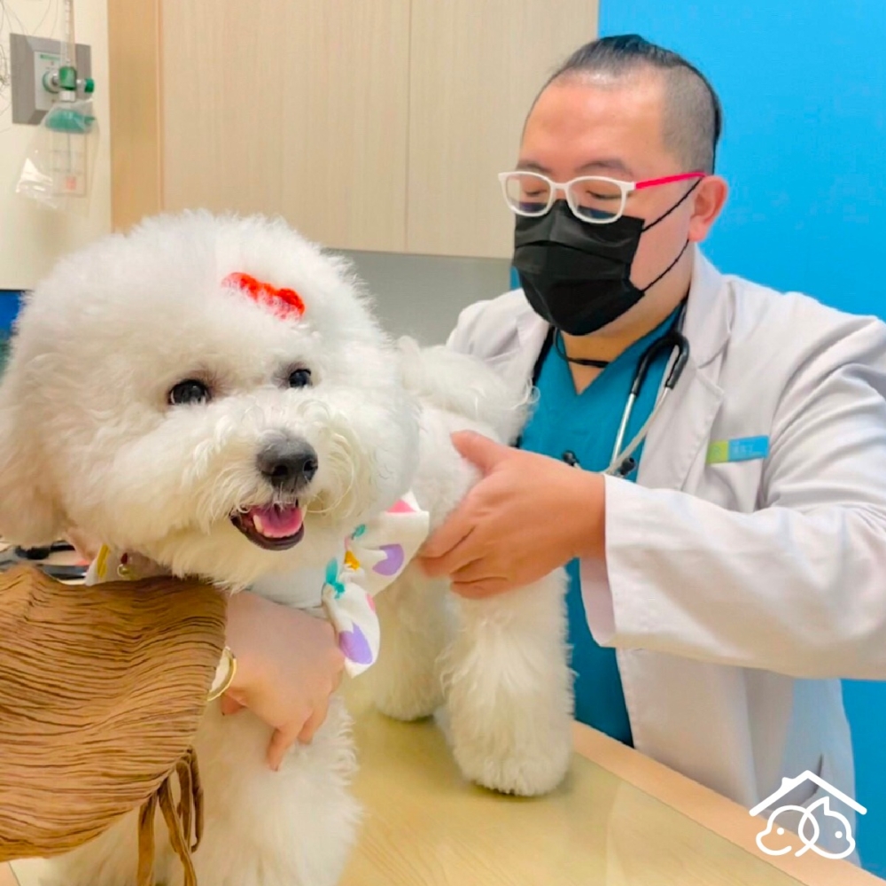 安晴動物醫院。