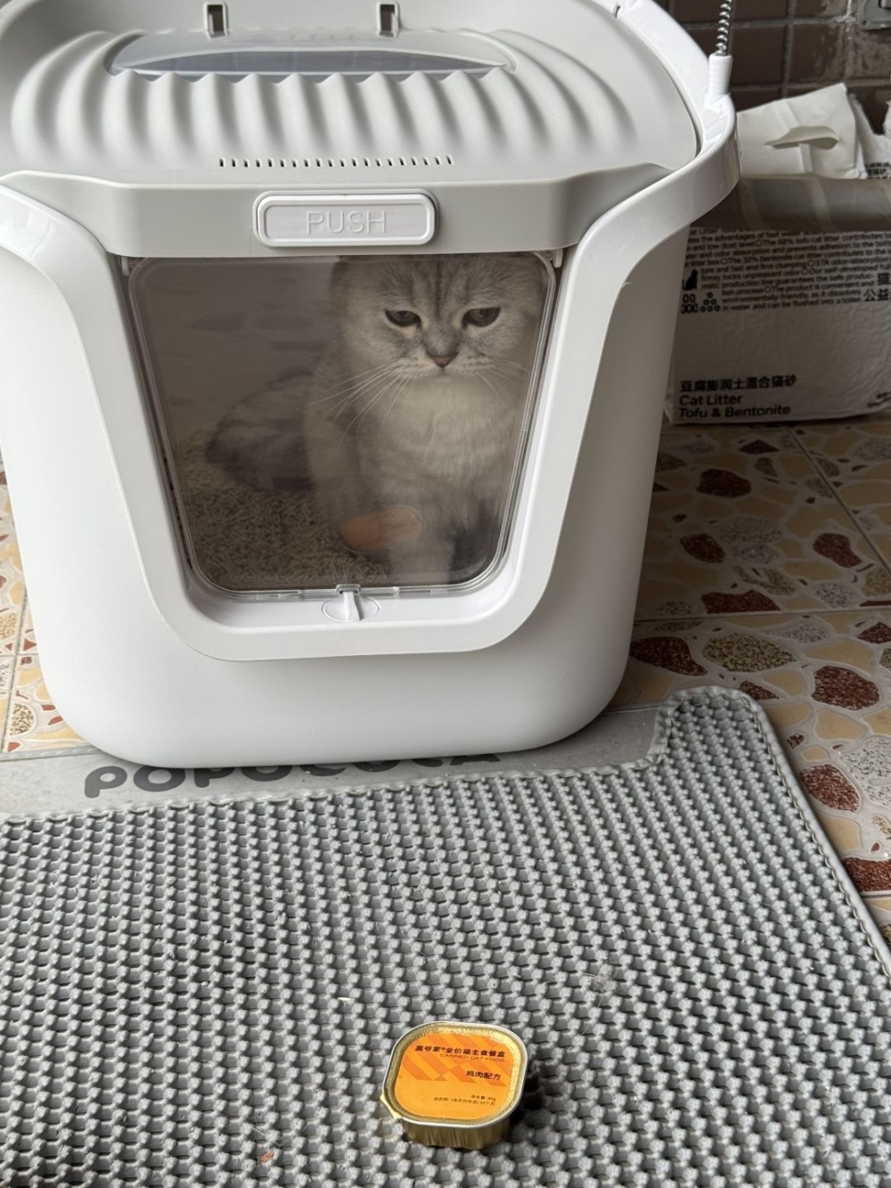 比較活潑的貓咪可能會覺得有壓迫感。