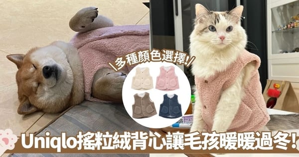 UNIQLO雙面搖粒絨背心爆紅！寵物冬天穿搭必備 $99即可入手超值又夠保暖