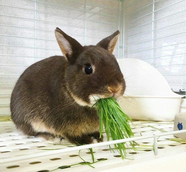 飲食照顧需了解。