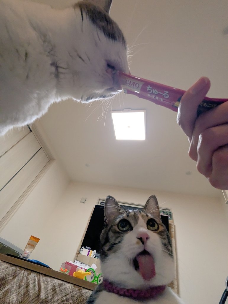 喵:忍不住了啦~