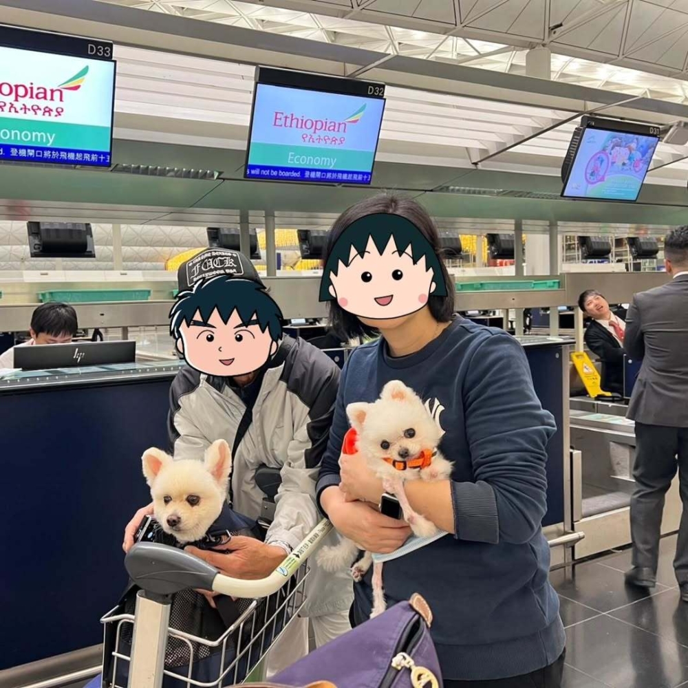 帶著寵物一起去旅行啦！