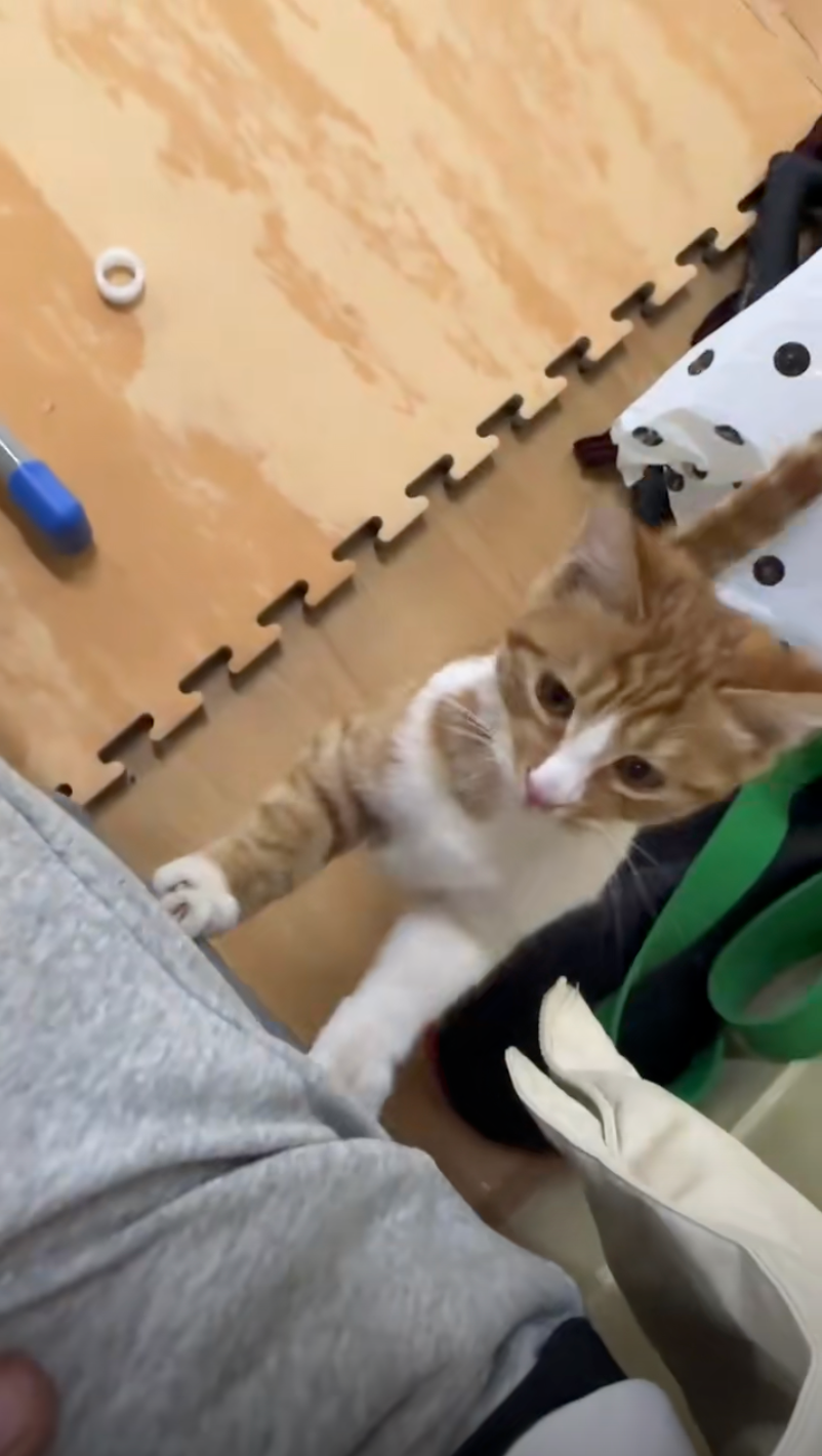 還會跑到學員的宿舍討抱抱～