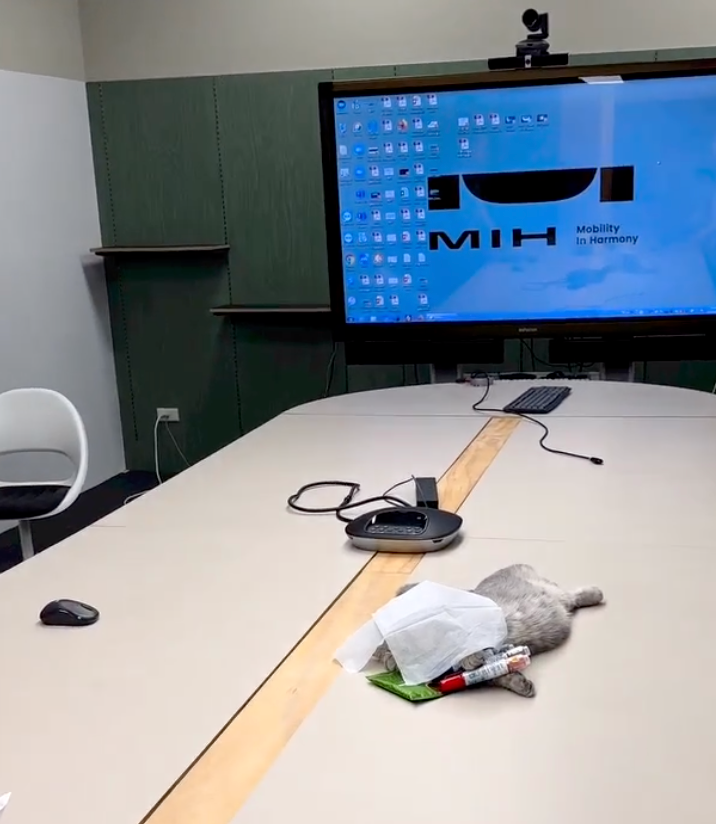 大膽!這裡有位「員工」開會時睡覺!