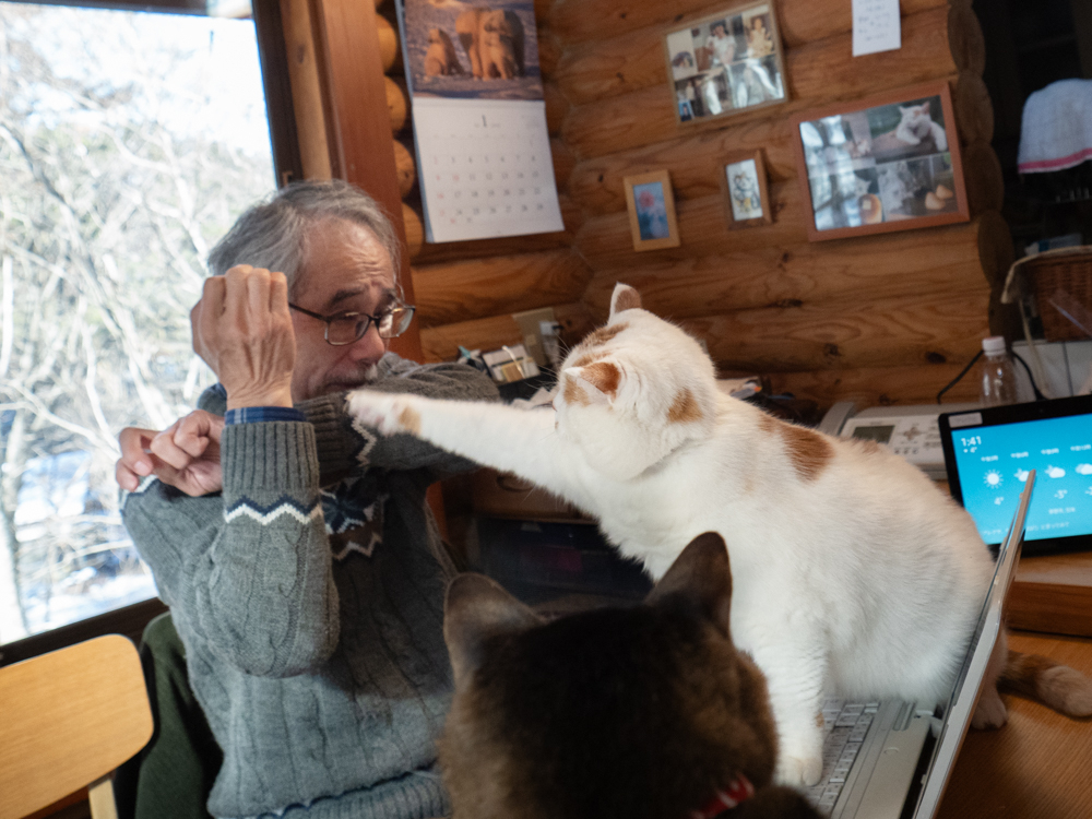 老爸：欸！這次打不到了吧～