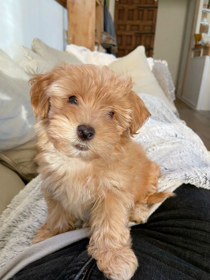 維持適當的濕度很重要。