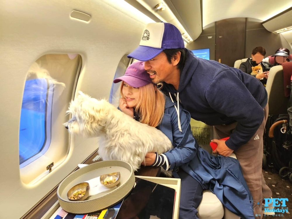 以每一隻寵物乘搭從香港出發至日本的單程航段計算。