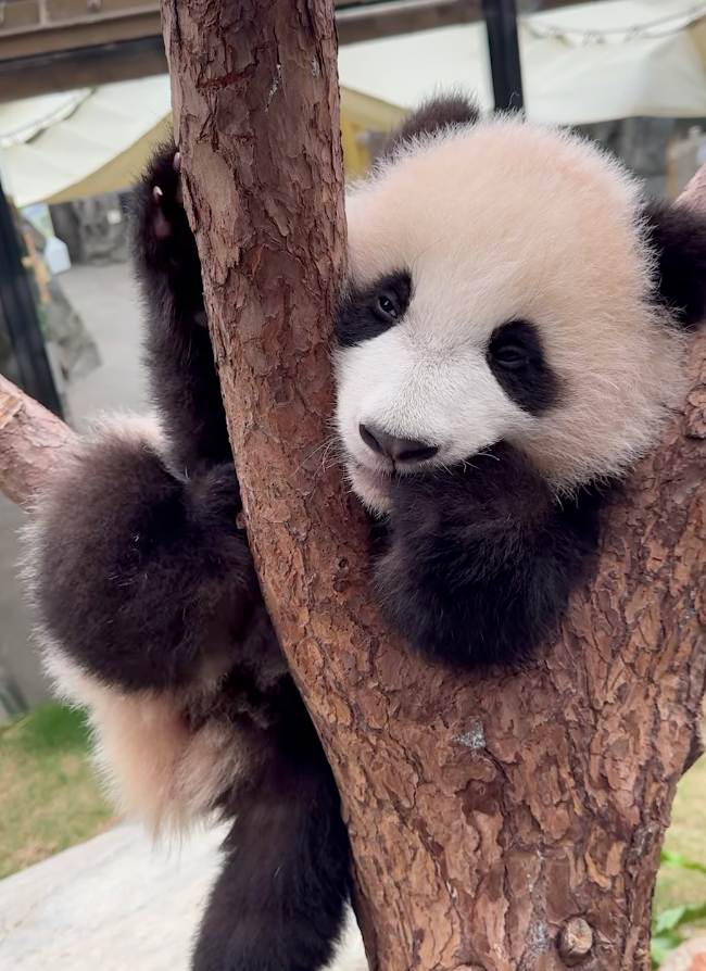 細佬好似比較鍾意me time～