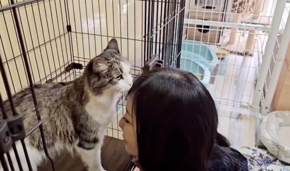 還會去親親動保人員！