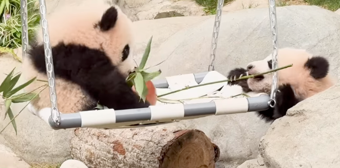 家姐細佬好叻！首日參觀人數就超過5000人！