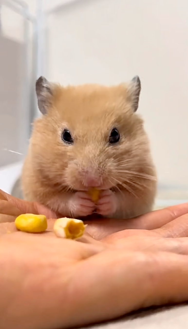 把知識通通吃進肚子啦～