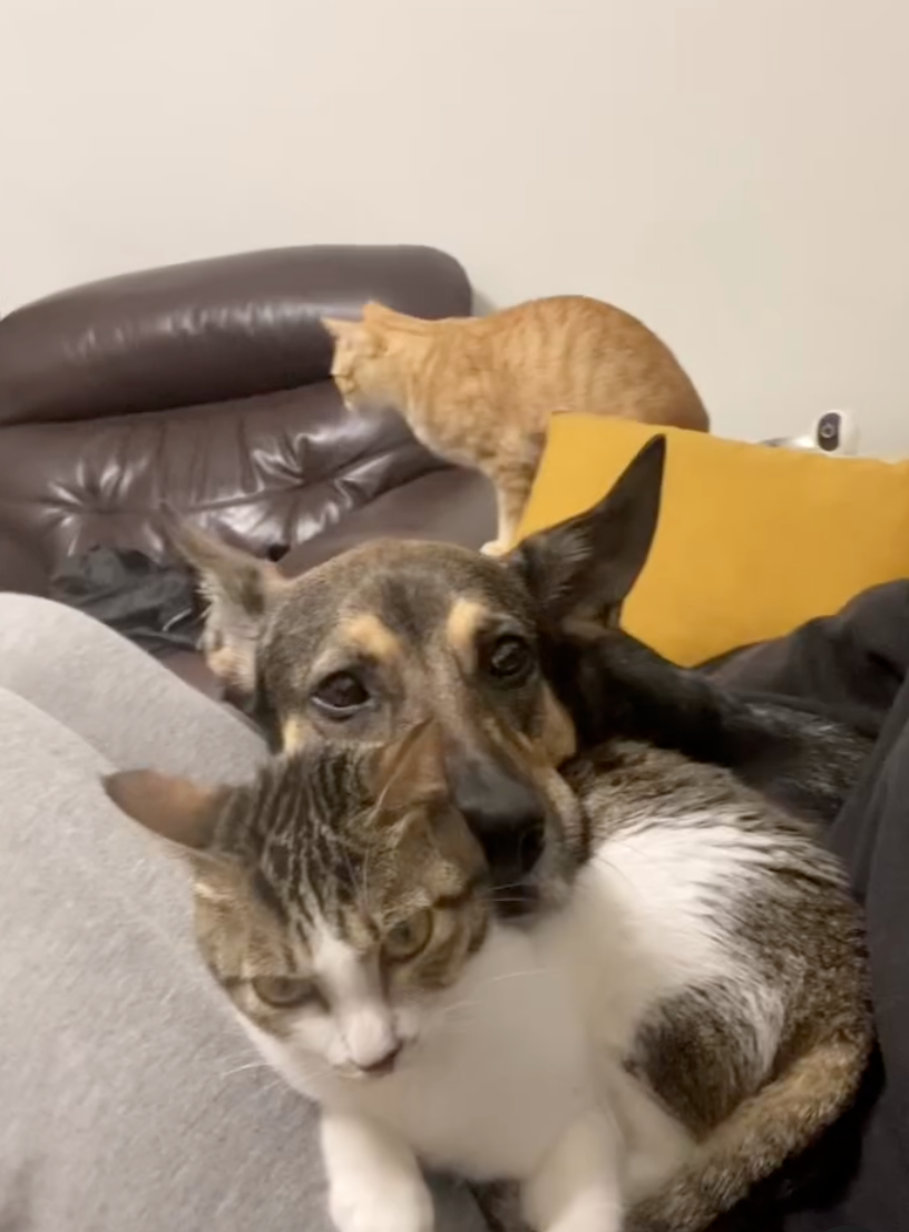 最愛和姐姐貼貼啦～