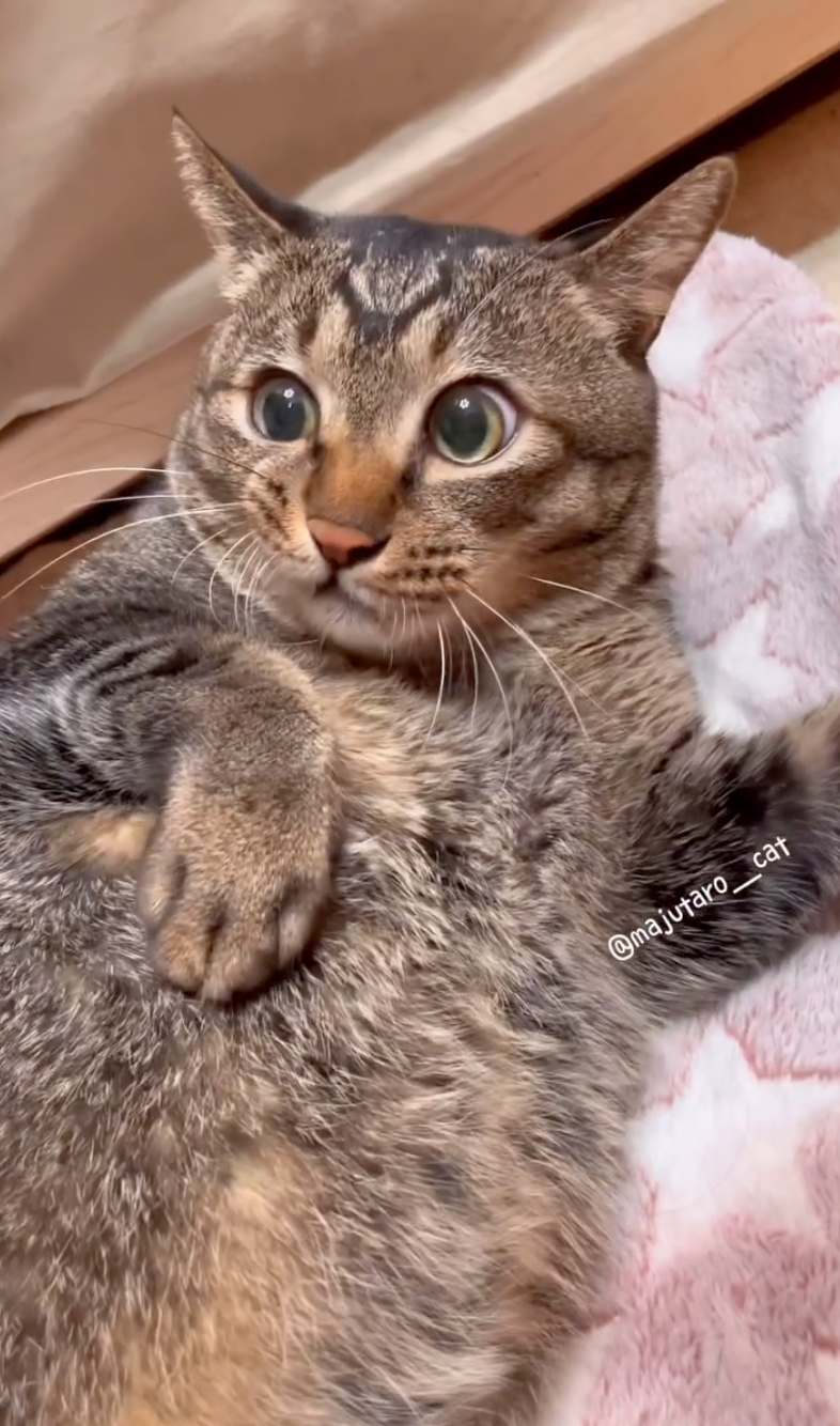 阿吉對舅舅擺出嫌棄的樣子！