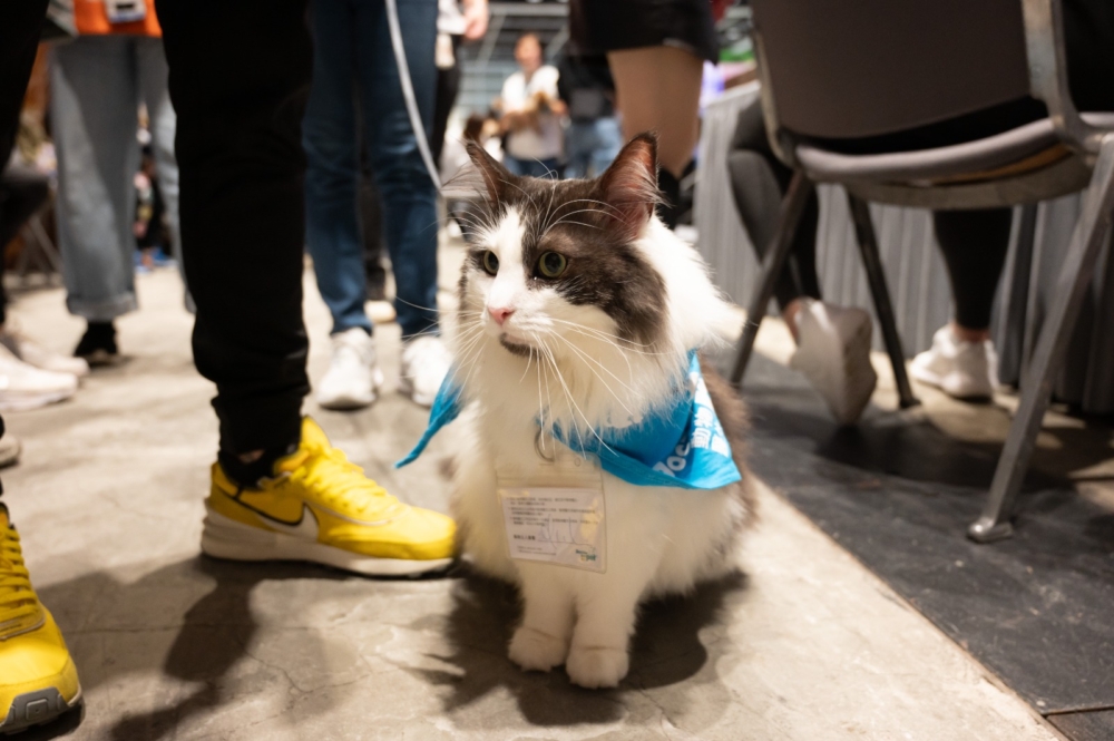 所有的活動相關優惠將在2025年2月9日18:00截止。