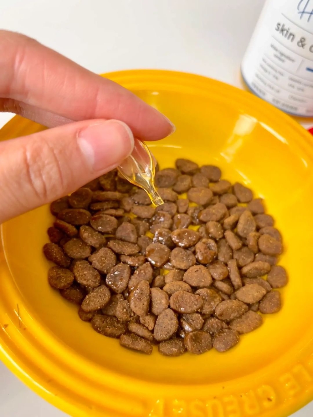 貓咪吃魚油的7個好處！