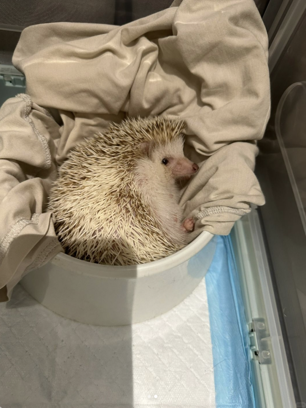 環境需求要特別注意喔～