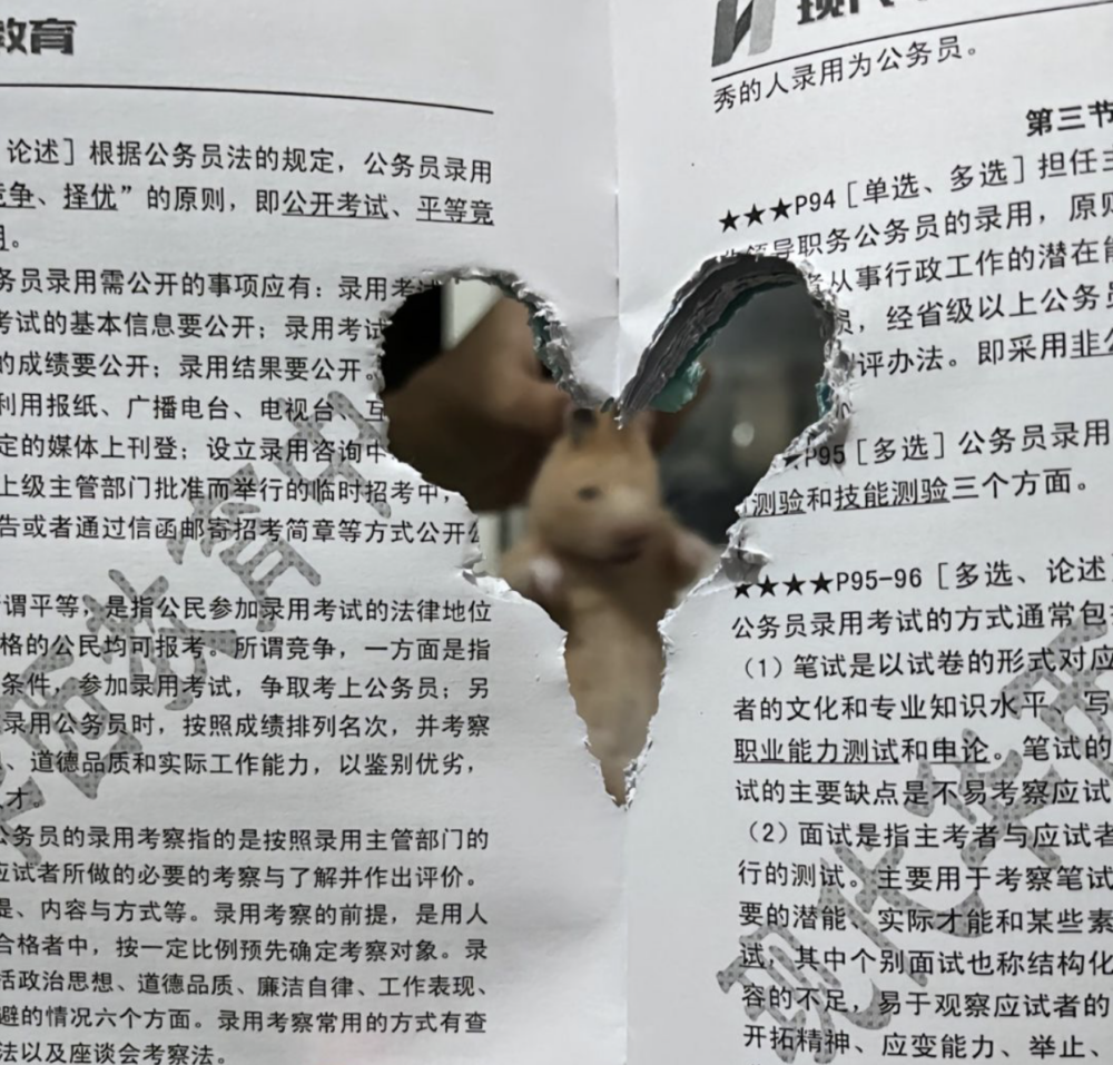 哇是愛心形狀的書本呢！