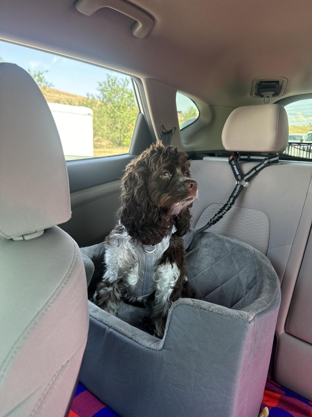 乖乖坐在車位上~