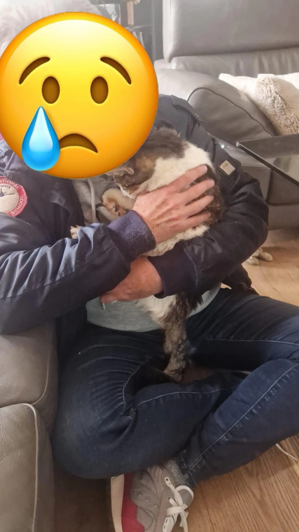 Noel跟主人重逢了！