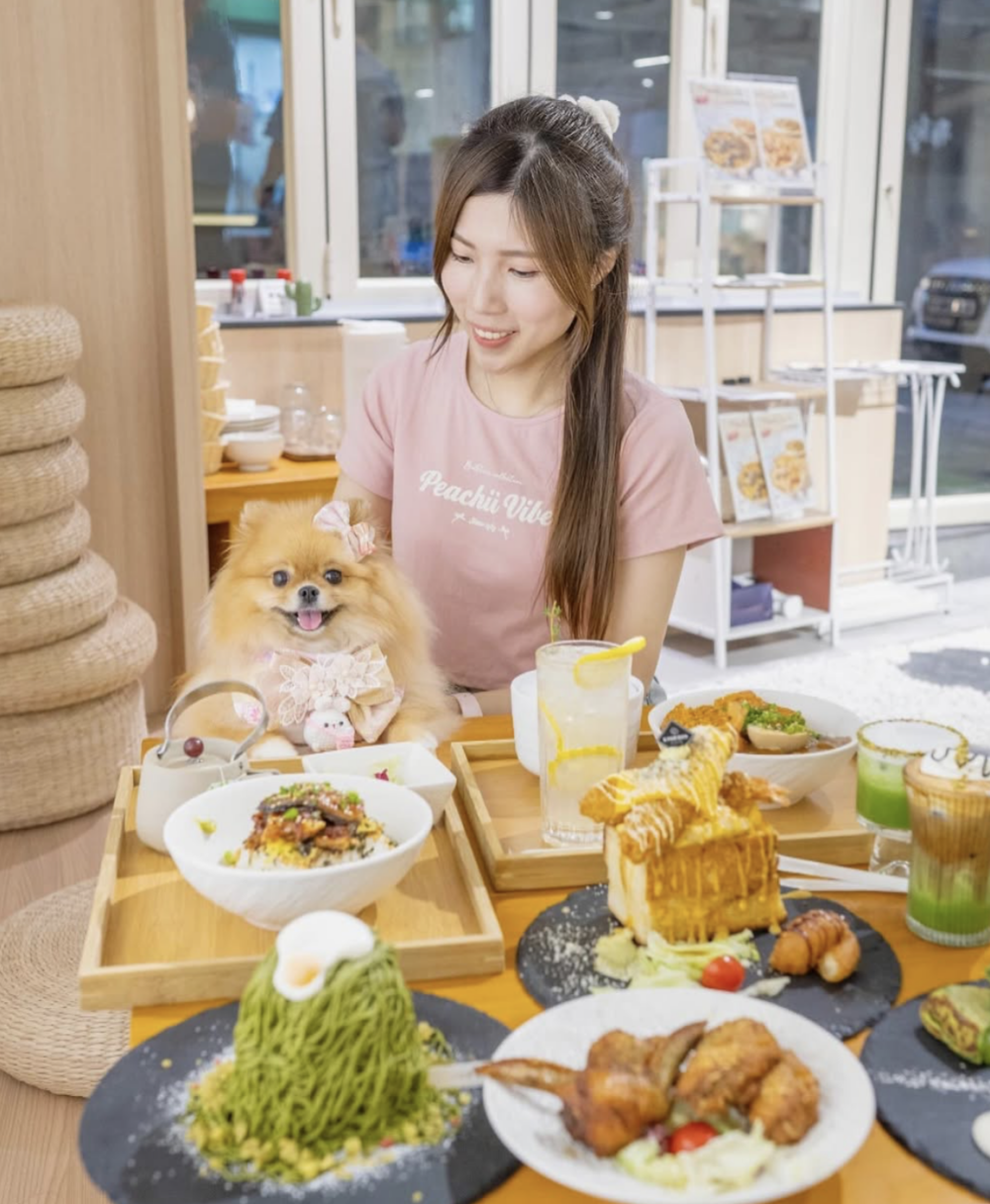 狗狗嚟到都好開心！