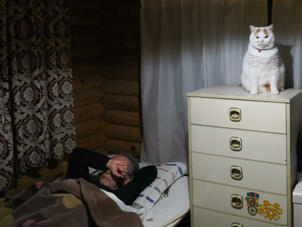 貓咪：準備好了嗎，朕要來了