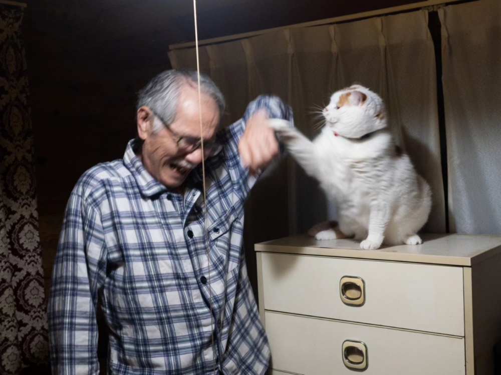 這貓很愛欺負老爸。