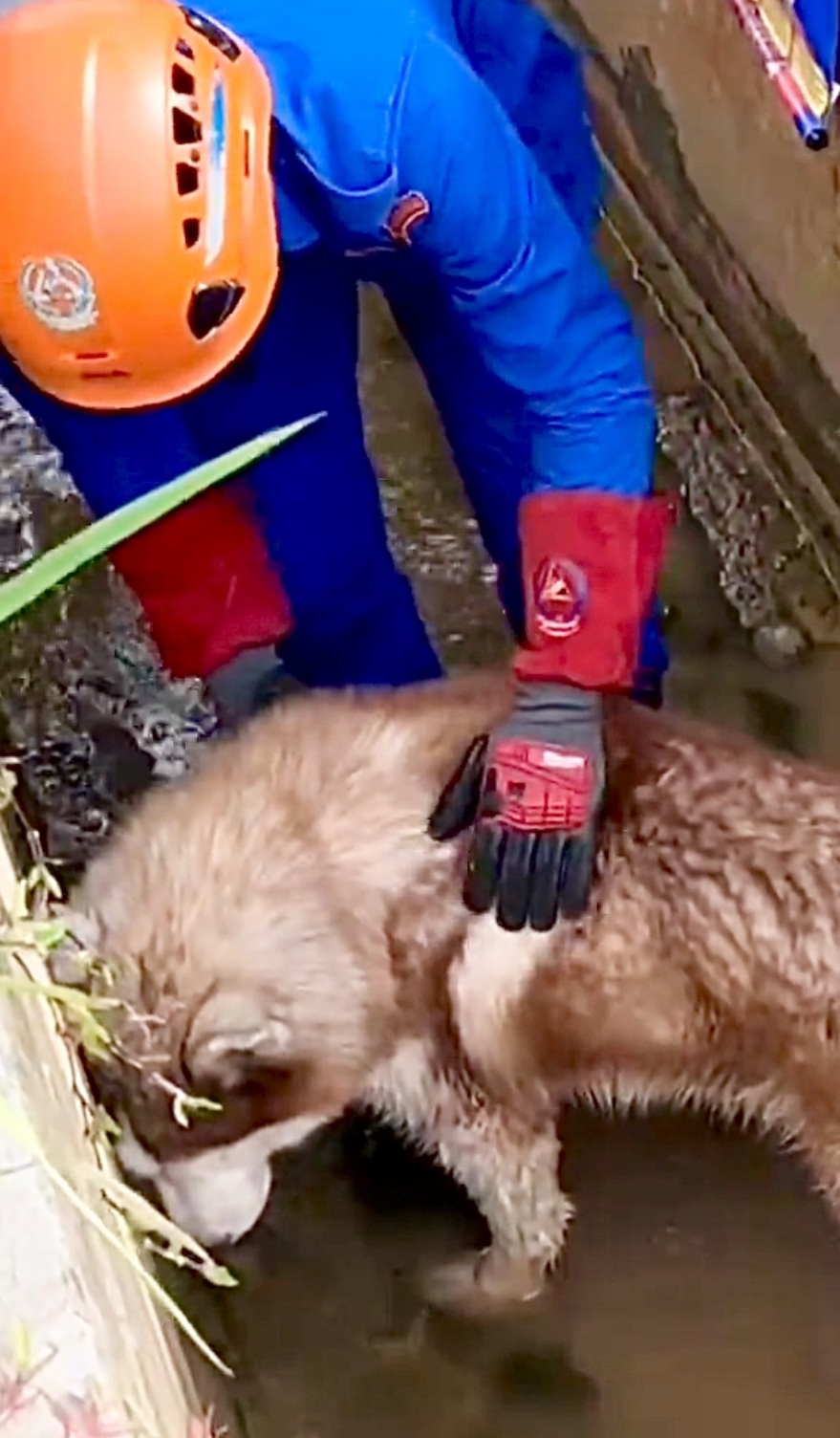 「生悶氣」把頭靠在牆邊。