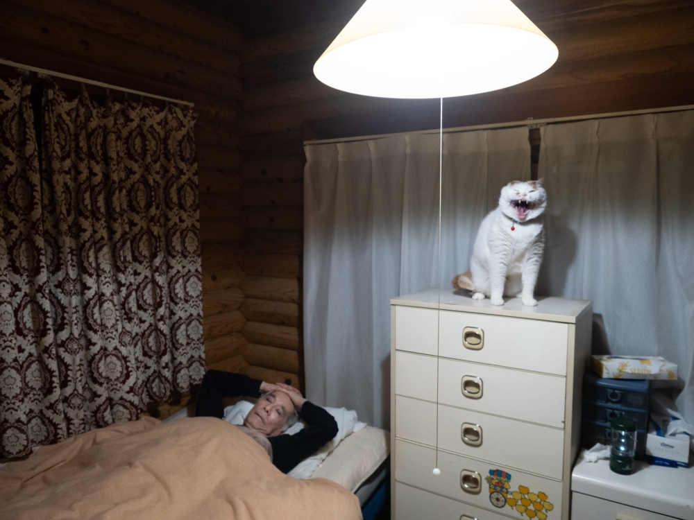 貓咪：想到等下要做什麼壞事就想笑～