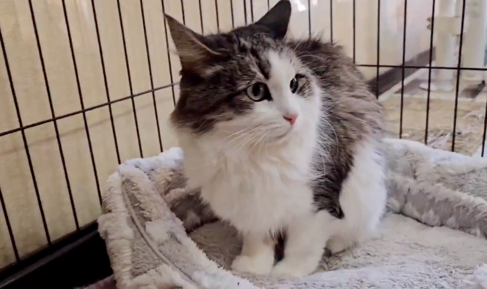 已經能夠走路啦～