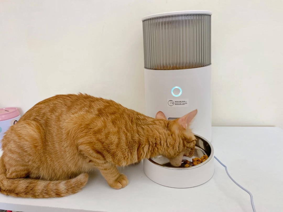 定時定量超方便~