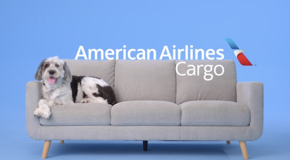 寵物與籠子的總重量不得超過20磅（約9公斤）