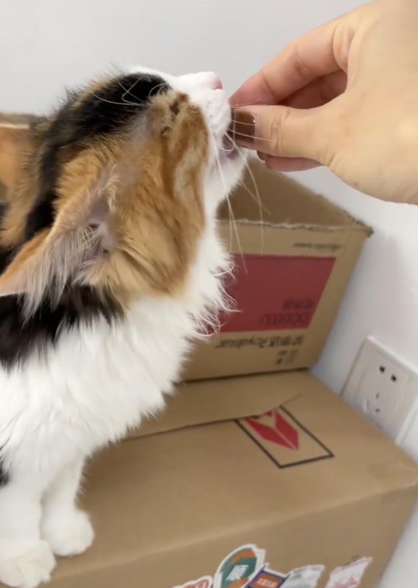 記得把魚油保持好喔～