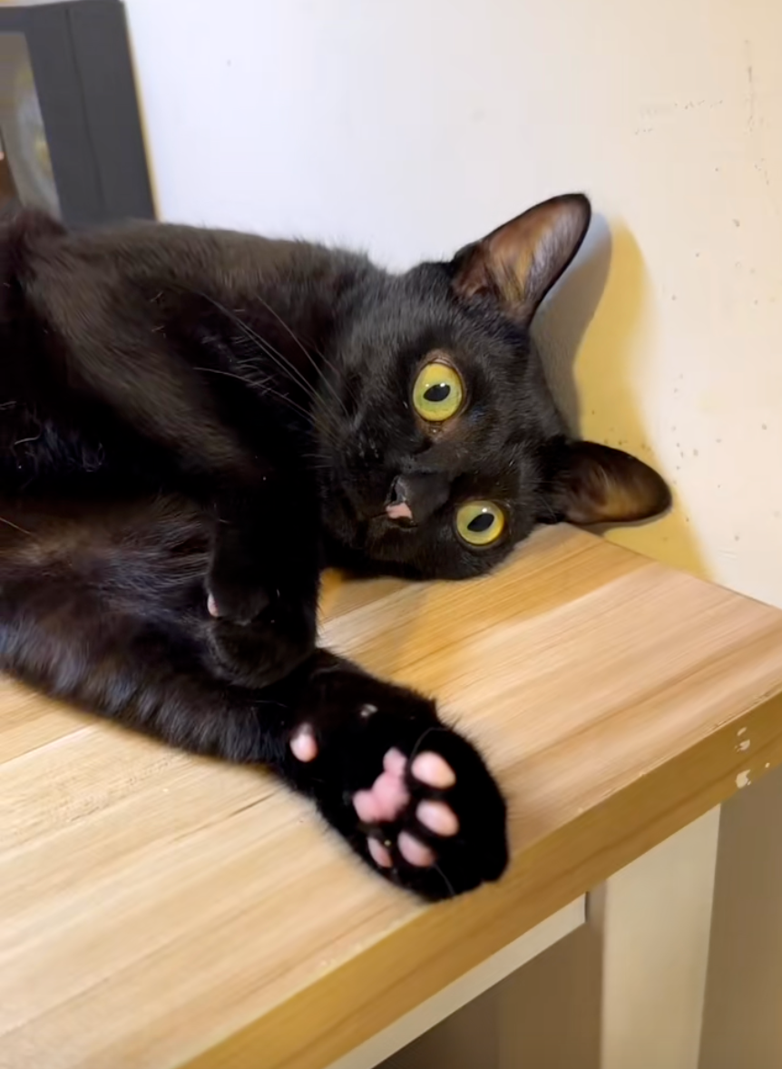 粉嫩嫩的好可愛！