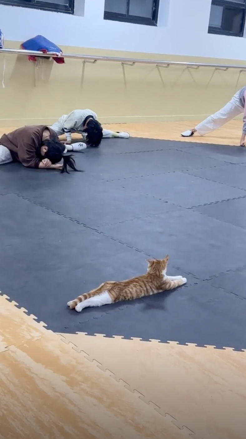 兩者出現強烈對比！