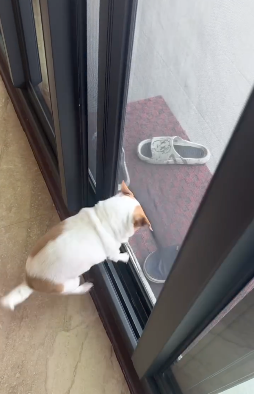 噗～就這樣撞上去了！