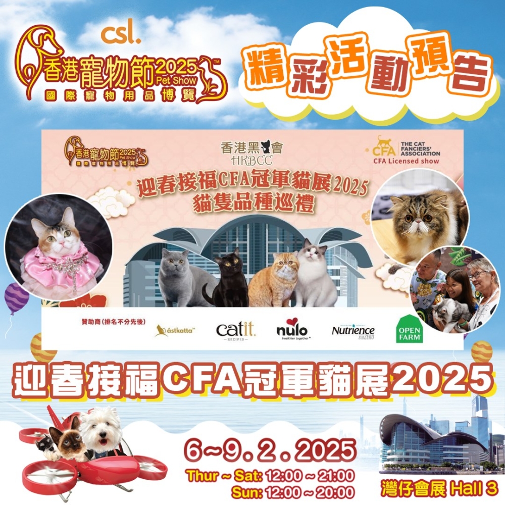 現場有多隻貓咪品種。