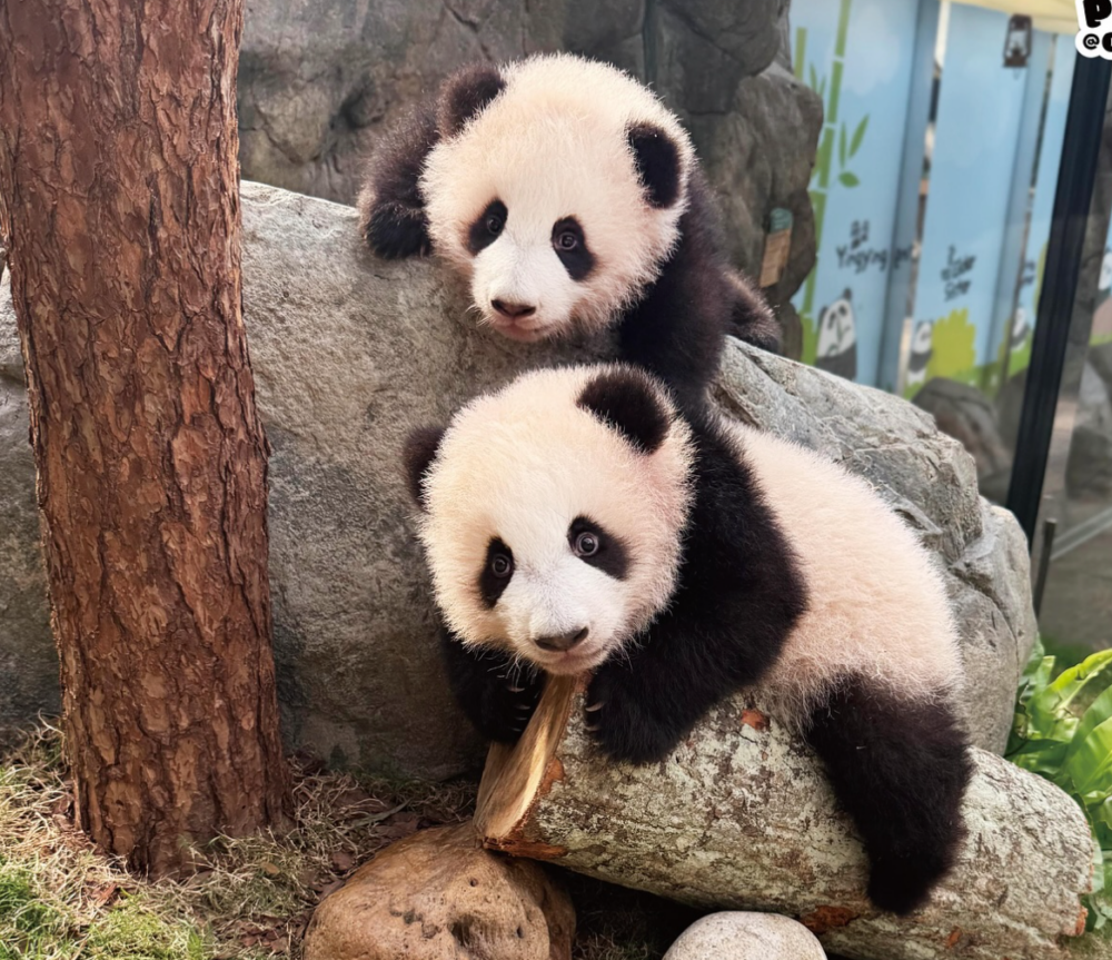 每位遊客在展區最多逗留5分鐘喔～