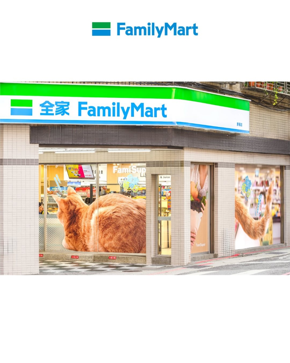 超大隻的貓咪~