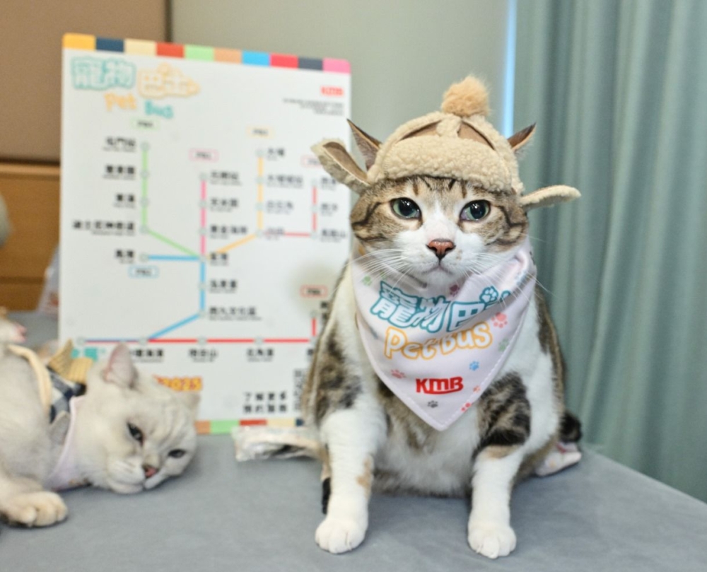 飼主帶寵物入場前需留意!