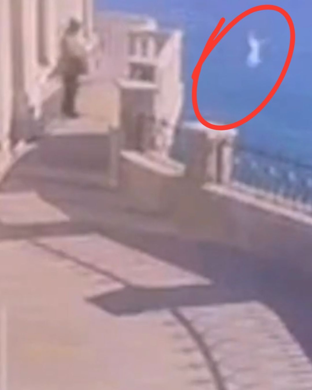 可憐的Musya就這樣被他丟下40米懸崖！