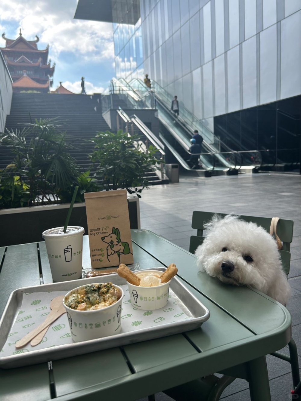 有毛孩「專屬社區」真係好貼心！