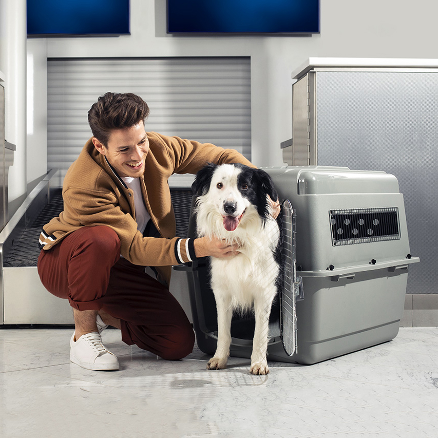 寵物與籠子的總重量不得超過17磅