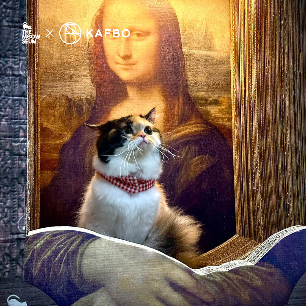 貓咪生活中也要添加一點藝術～